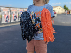 Orange + Black Rams Pom Poms