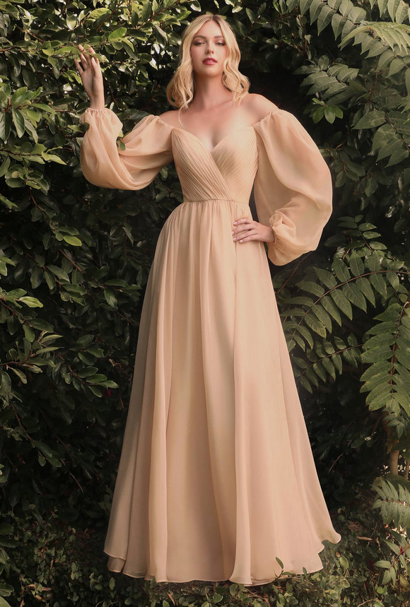 Long sleeve Champagne Chiffon Dress