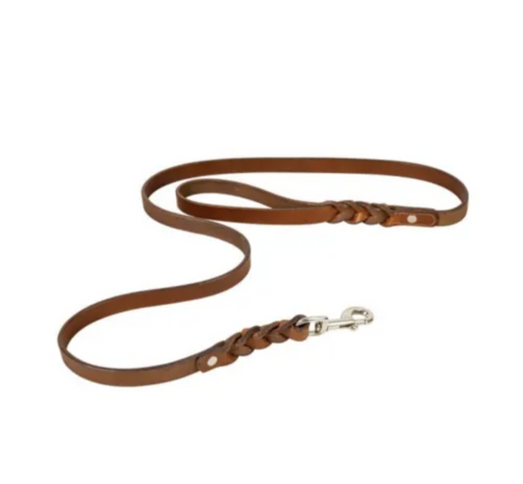 Myra Leather Twist Dog Leash